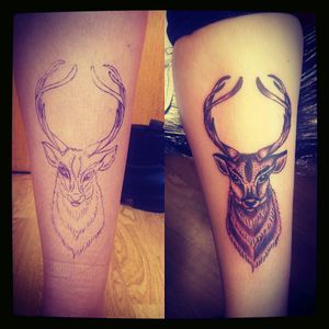 #stag #calftattoo I did not too long ago