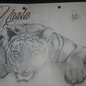 Tiger design #tiger #shades #pencildrawing #Custom