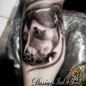 #realistic #dog #portrait #blackandgrey #photorealistic #photorealism #tattoo #animaltattoos #animalportrait