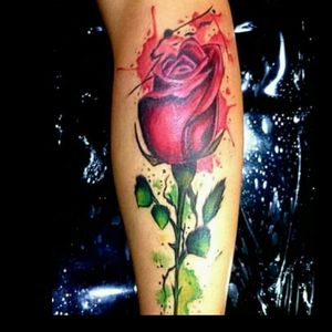 Rose watercolor