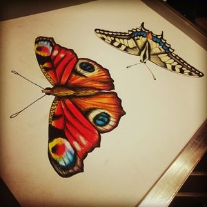 Butterfly art #butterfly #colourful