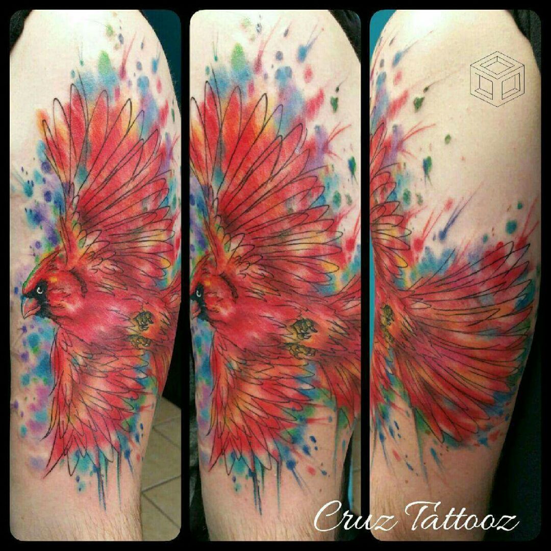 watercolor cardinal tattooTikTok Search
