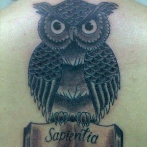 Owl Black and Grey