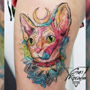 Desenho de criação minha! Gato sphynx aquarela #watercolor #sphynx #cat #kitty #aquarela #fullcolor #mandala #moon