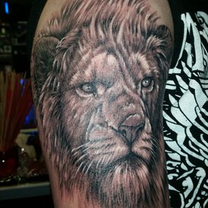 "Lion." Start of the 1st sleeve. Tattoo done by Adam Lerch of Aggression Tattoo.