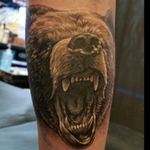 "Bear." My favorite animal 😁 Tattoo done by Adam Lerch of Aggression Tattoo.