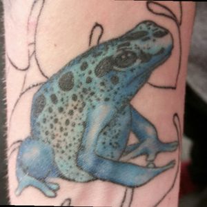 "Blue Poison Dart Frog." Tattoo done by Adam Lerch of Aggression Tattoo.