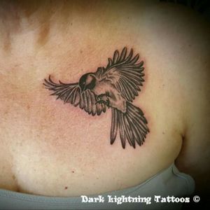 First bird tattoo