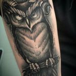 Ram-horned owl with a scarred blind eye. Again by my artist of choice Ines Vital.