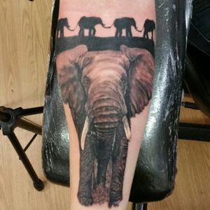 Little #african #elephant piece of a #sleeve I'll be working on in a few weeks! #tattoo #ink #art #skinart #axysrotary #oneshotonekill #dynamicblack Thanks for looking!