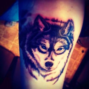 Good wolf #battleoftwowolves #good #protection#wolf #blueeyes