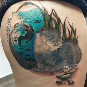 My 4th tattoo. I've loved otters ever since I was young, always had an idea for an otter tattoo and finally got it started October 2015 and finished December 2015. Another one from Jen Sterry at No Regrets Cheltenham. #ottertattoo #otter #thightattoo #jensterry #noregretscheltenham