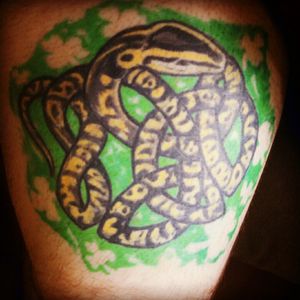 Celtic ball python by Robert Meyers