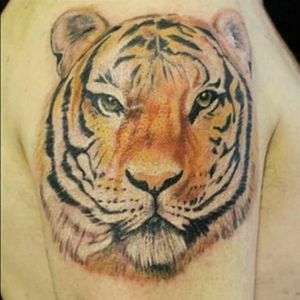 Tiger#tigertattoo #tattoo #tatuaje #tatuaggio #tatuadoresbrasil  #rinzotattoo #tigre #realismtattoo #tatuagemrealista