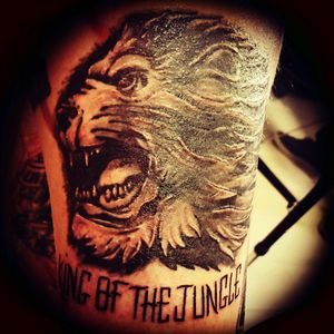 #lion #kingofthejungle #lastresort