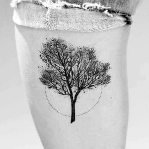 #tree #delicate