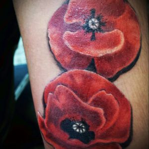 My poppies when I first had them done before I decided to add to them...