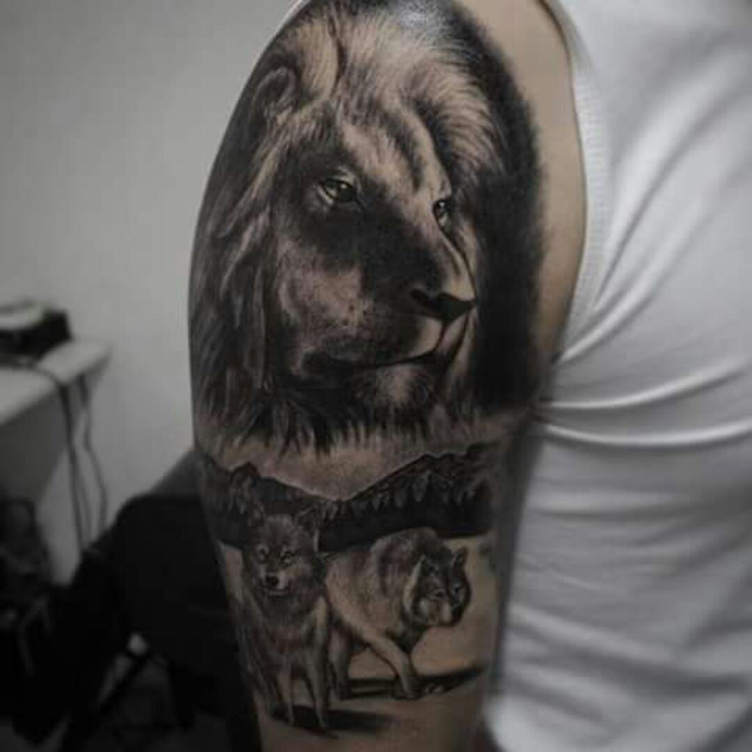 Studio M Tattoo  Studio M Lion and Wolf tattoo studio sweden lion  wolf chest tattoos inspiration tattooinspiration blackandwhite happy  work norrköping  Facebook