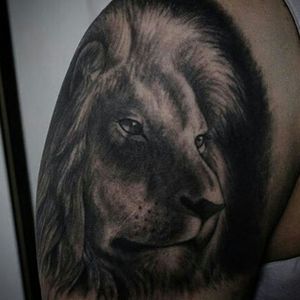 Lion detail #lion #blackandgrey #electricink #barflytattoo #manfrere #rafaelmanfrere