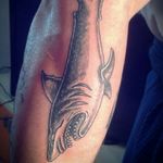 #shark #neotraditional #tattoo #forearm #black #grey