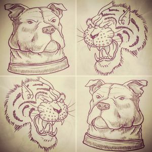 #dog #tiger #pitbull #traditional #neotraditional #drawing #sketch