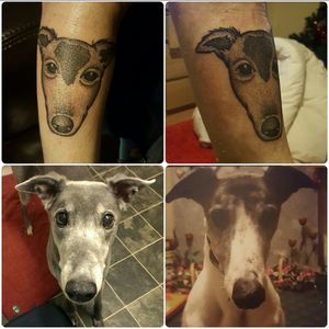 Always had greyhounds. Thought I should get a wee tribute. #dotwork #greyhound #dog