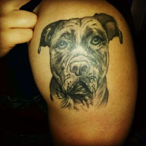 Tattoo set on my boyfriend his arm. It's of his beloved dog who died two months before setting this tattoo at frenky's tattoo shop, The Hague.