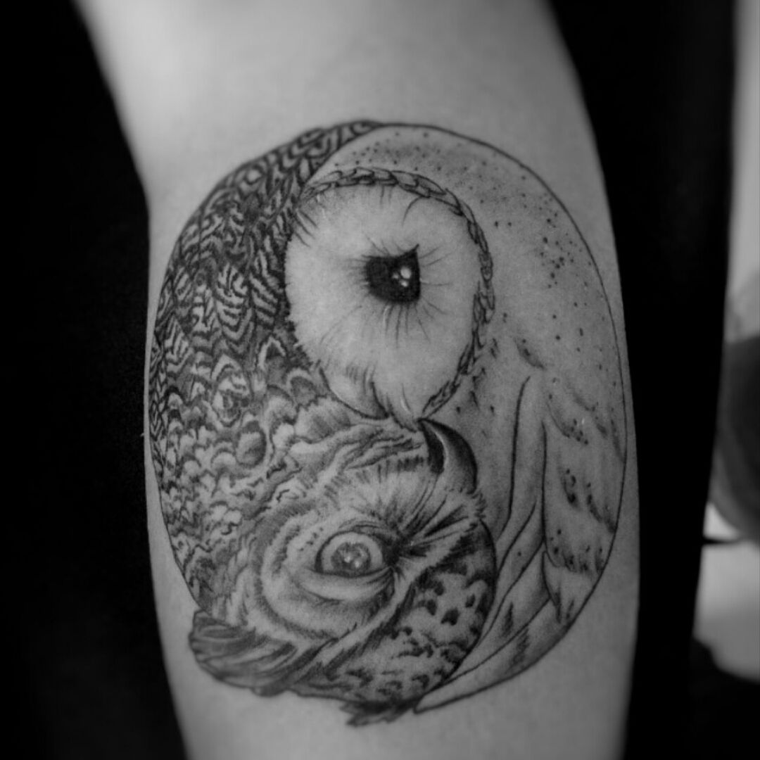 Owl Temporary Tattoo  Fun Temporary Owl Tattoos  WannaBeInkcom