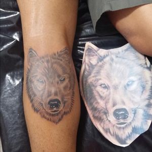 Tattoo wolf