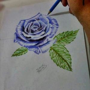 Estudo. . #danielaraujos #rosas #roses #desenho #ink #flowers #viciadosemtatuagem #ink #tattooworld #girlstattoo #tattooartist #tattooabc #ilustration #tattoo #tattoos #tattooist #tattooabc #tattoodo #drawing #draw #tattooing #tattooartist #brasil #santoandre #saopaulo #tattooworld #night