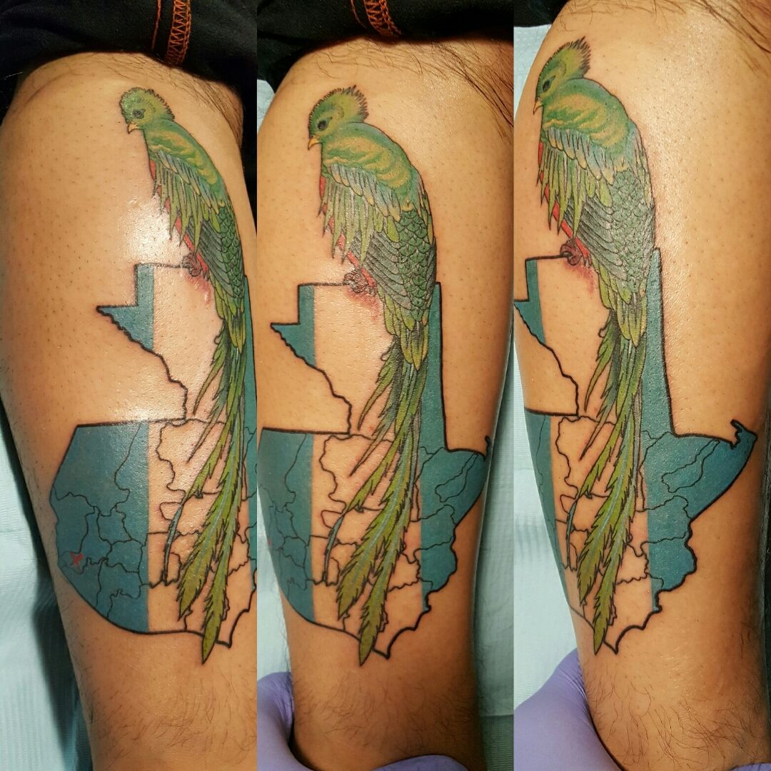 quetzal tattoo by andrestattoos Guatemala pride bird  Flickr