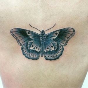 #butterfly #delicate