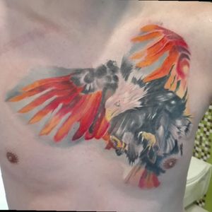 #tattoo #tatuaż #eagle #orzeł #chest #klata #colorful #kolorowy #color