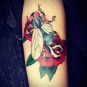 #tattoo #traditional #neotraditional #roses #rosestattoo #fly