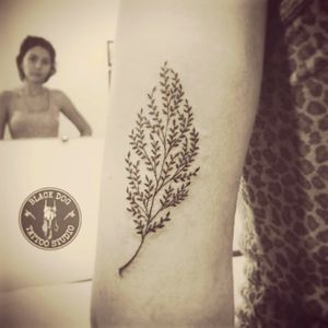 My leaf tattoo... Just love ❤🌿 (Minha tatuagem de folha.. Muito amor ❤🌿) #tattoo #tatuagem #upperarm #leaf #nature #love #muitoamor #inlove #apaixonada