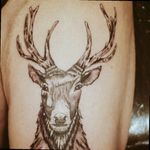 #detail #realstic #blackandgrey #detail #tatt #tatt #tattoo #tattooartist #ink #inked #inkedlove #nopain #nopain #commentifyouwant #kent #uk #follow #stag #swag