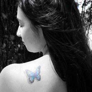 #butterfly  #blue #cute