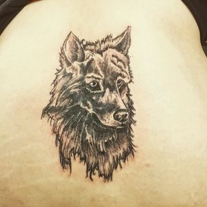 Lower back cover up with a Wolf#wolf #coveruptattoo #mydrawing #detail #realstic #blackandgrey #detail #tatt #tatt #tattoo #tattooartist #ink #inked #inkedlove #nopain #nopain #commentifyouwant #kent #uk #follow #instatattoo #dm #swag