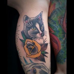 Mumuzemo #cat #tattoo #tatuagem #tatuagens #customtattoo #customdesign #neotrad #neotraditional #traditionaltattoos #oldschoolbrasil