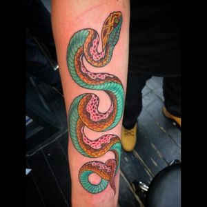 #amijames  #snake #color