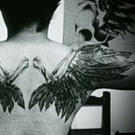Crow wings