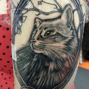 Portrait of my cat based on a photograph. Done @ urban inkfest by @amandinalecoeur
