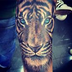 #tiger #tigertattoo #color