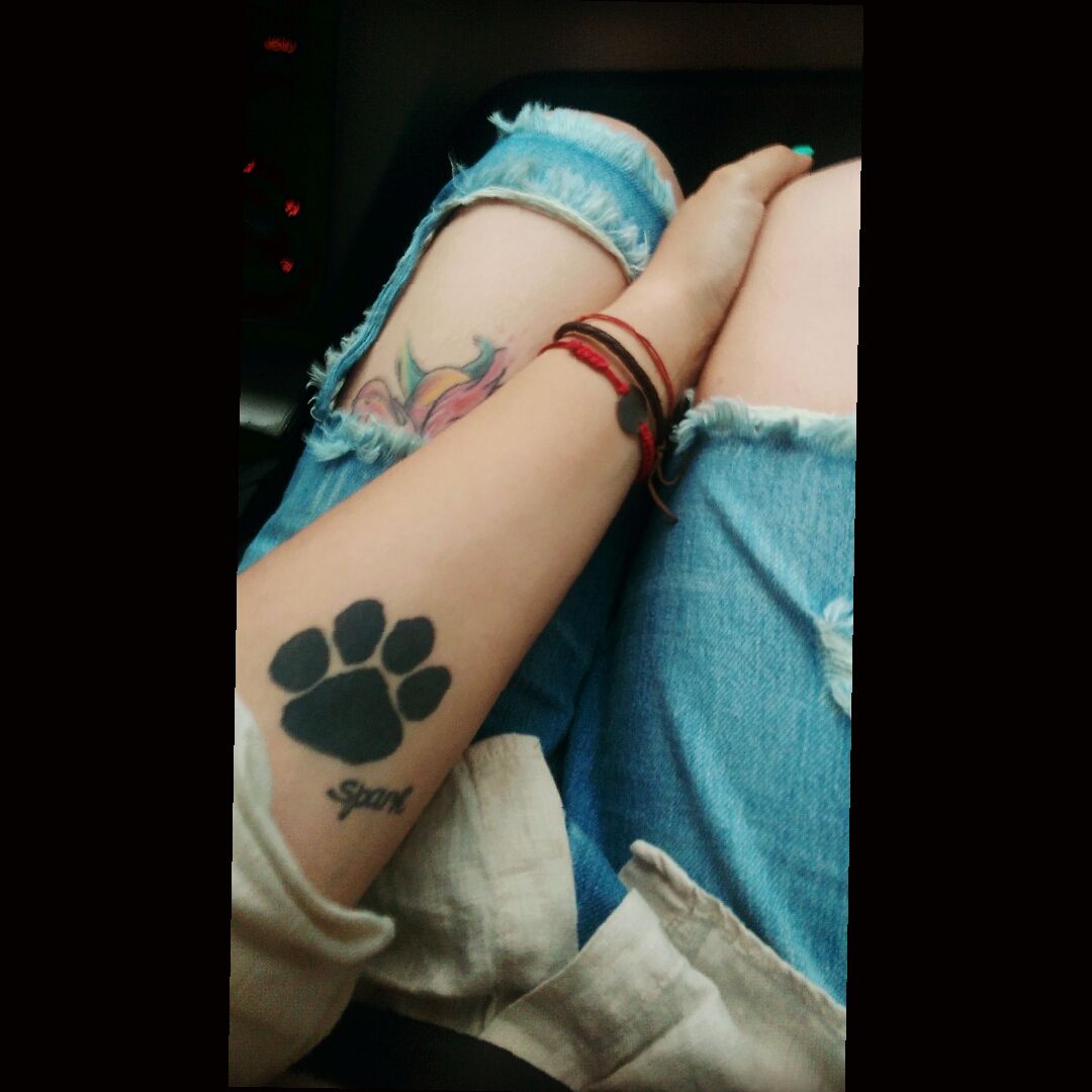 bus Krydderi squat Tattoo uploaded by Timna Scholler • Paw Logo for the one and only Ed Sheeran  😘 "The world is harsh I'm stuck in the dark, I'll make my mark I've got my