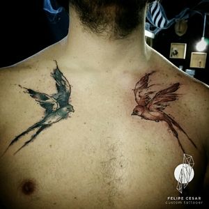 - sons. #felipecesar #watercolor #watercolortattoo #abstract #bird #swallow #swallowtattoo #aquarela #tatuagemaquarela #tattooaquarela #braziliantattooers #tatuagembrasil #tatuagem