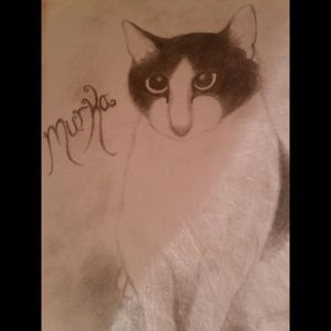 This is my drawing of a friend's cat