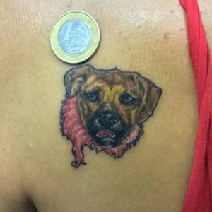 Boa tarde gente bonita !!! #tattoo realizada aqui no #rafaferraritattoestudio #mini #minitattoo #minitatuagem #tattoodog #tatuagemcachorro #tattooboxer #boxer  #tattoorealistic #tattoocolors #tatuagemcolorida #dog #cachorro #tattoolifemagazine #support_art_tattoing #tattooistartmagazine #tatuadorespoa #tatuadoresrs #moinhosdevento #24deoutubro #galeriaflorencioygartua #portoalegre #rs . Namastê