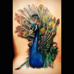 #bird #color #peacock #peacocktattoo