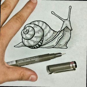 Snail #sketch #draw #drawing #snail #mexico