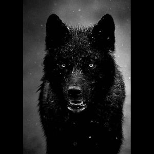 Wolf ♤#dreamtattoo #wolf #blackandgrey @amijames